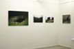 Arles Paysages de l eau 2012